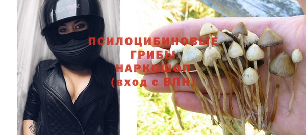 винт Новозыбков