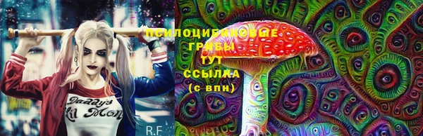 винт Новозыбков