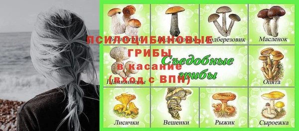 MDMA Premium VHQ Каменногорск