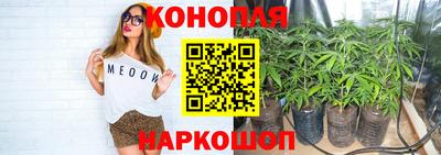 мяу мяу мука Апшеронск