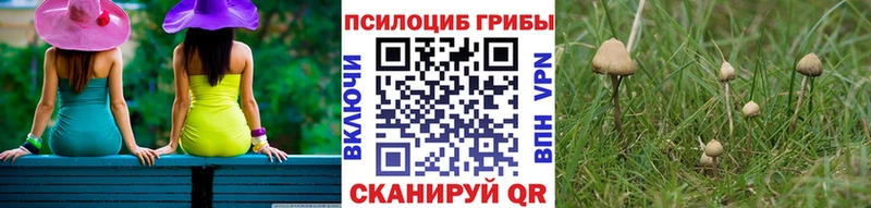 Псилоцибиновые грибы мицелий  Краснотурьинск 