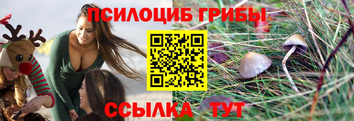 Псилоцибиновые грибы мухоморы Краснотурьинск