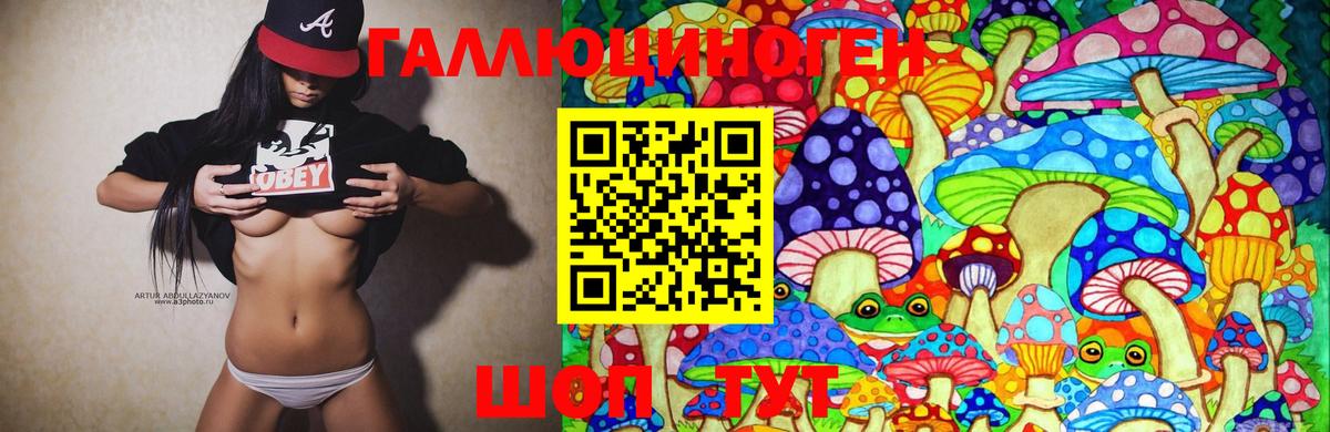 наркотики  Краснотурьинск  Галлюциногенные грибы Magic Shrooms  Псилоцибиновые грибы Psilocybe 