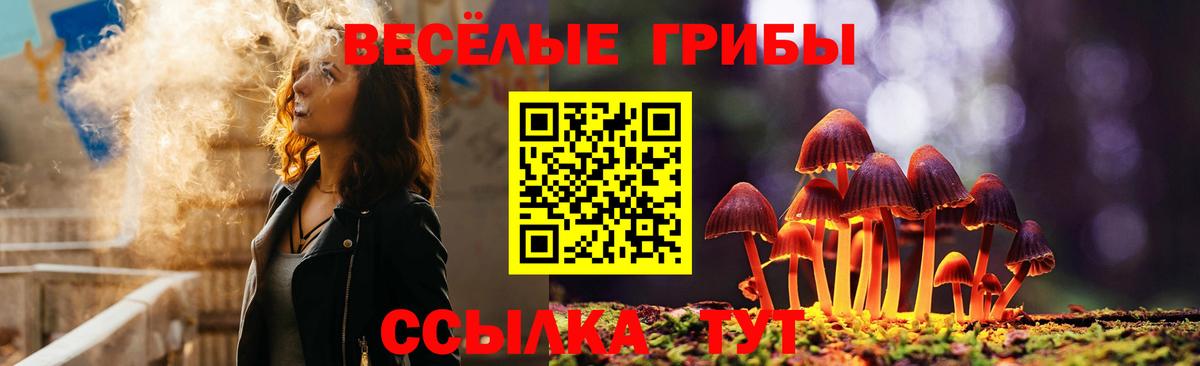 Псилоцибиновые грибы мицелий  Вход с VPN  Краснотурьинск 